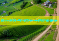 附近速约 告别单身 开启甜蜜邂逅